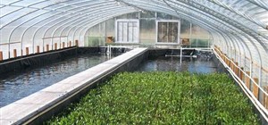 Viable Aquaculture – How to ensure success and profitability